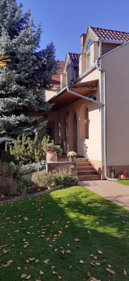 Hotel Kenguru Panzio Hódmezővásárhely Esterno foto